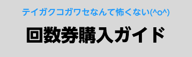 回数券購入法